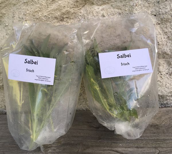 Salbei im Frischebeutel