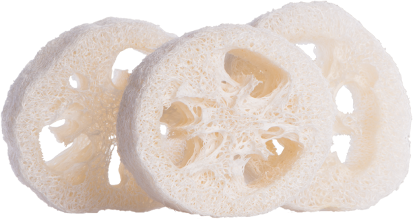 Luffa-Schwamm (3 Stück)