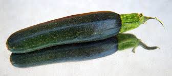 Zucchini - Serafina