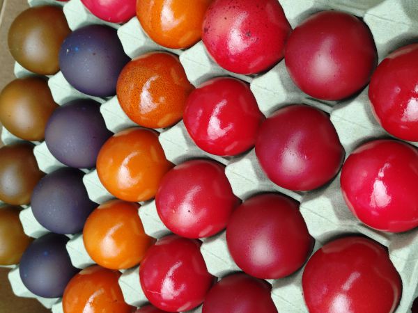 Ostereier - 10 Stück