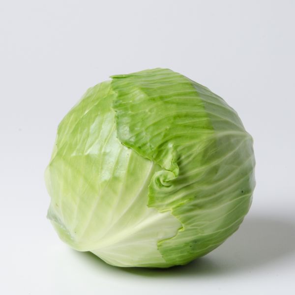 Kraut weiß