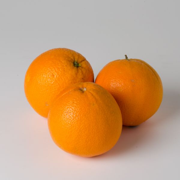 Orangen "Valencia", saftig/süßlich
