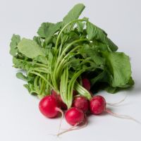 Radieschen Radieschen