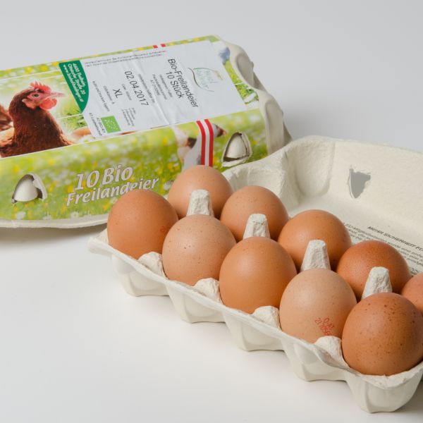 Eier XL