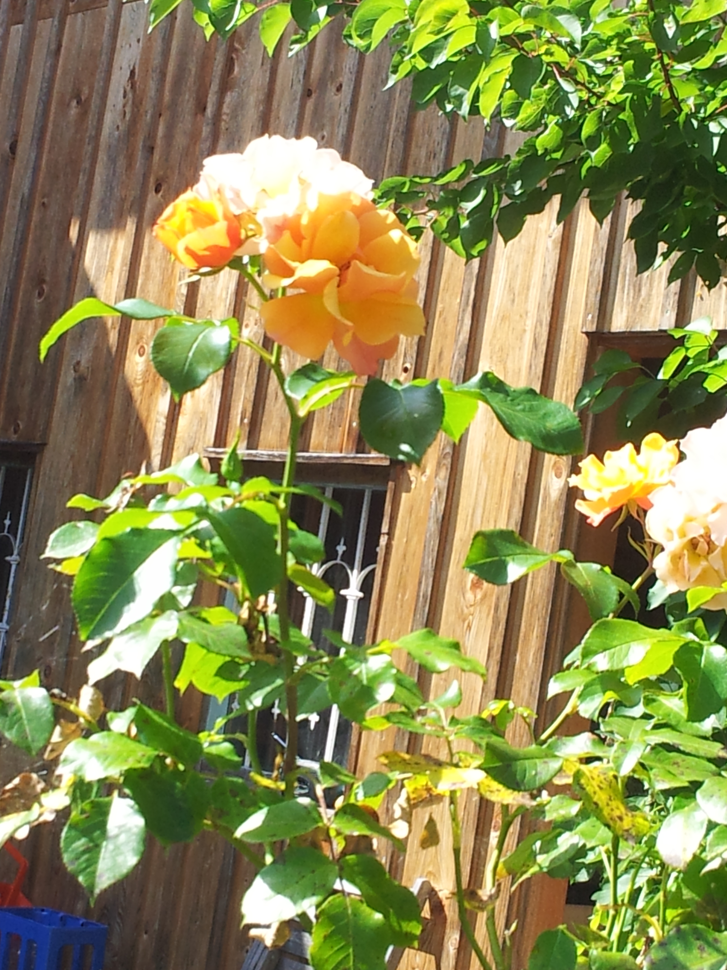 20160721_161547